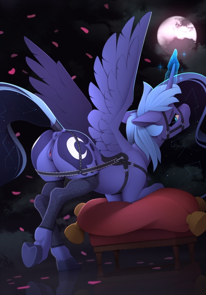 It's time to go around the Moon - NSFW, My little pony, PonyArt, MLP Explicit, MLP anatomically correct, MLP Socks, Princess luna, Yakovlev-Vad