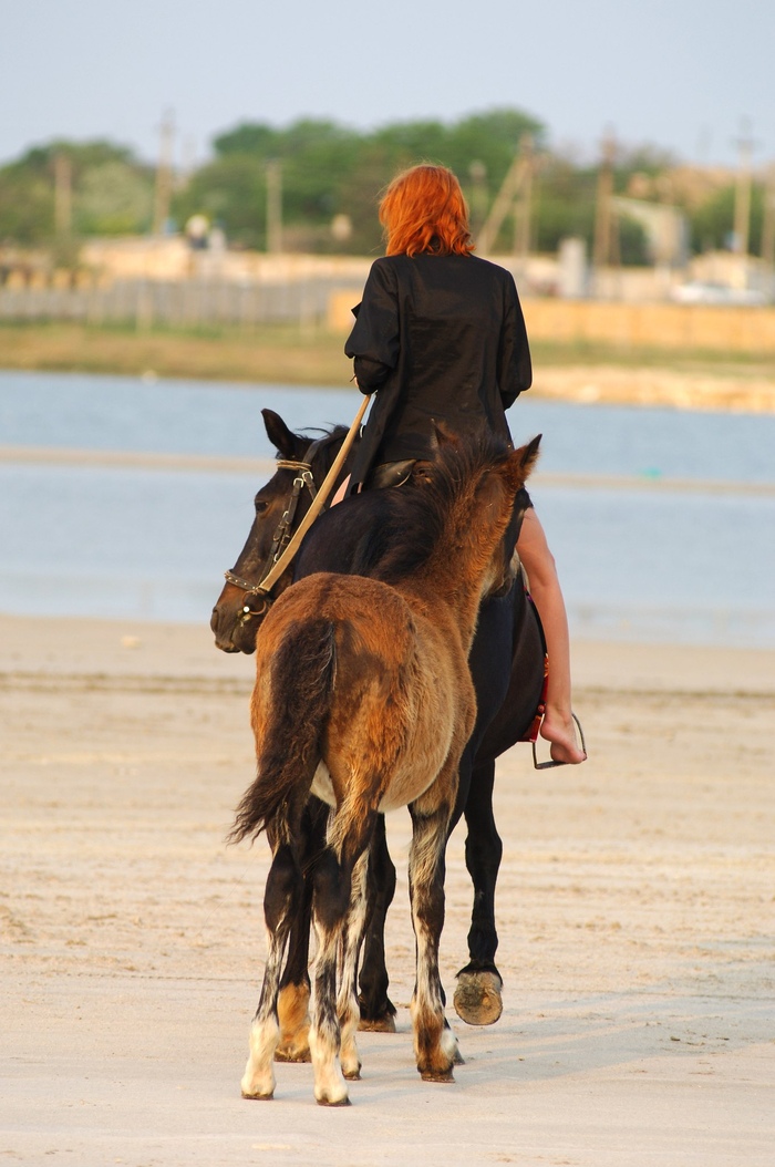 Redhead #1209.0 pt.02 - NSFW, Sexuality, Girls, Erotic, Redheads, Boobs, Stomach, Booty, Legs, Hips, Feet, Horses, Labia, Helping animals, Animal shelter, The strength of the Peekaboo, Longpost