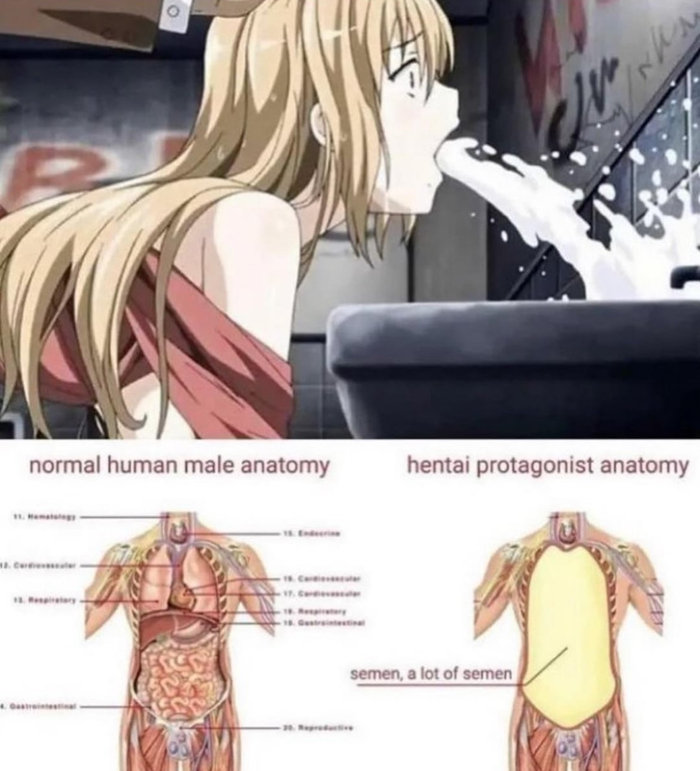 Anatomy of hentai pulls - NSFW, Humor, Hentai, It seemed, Anime memes, Sperm, Repeat