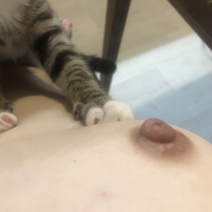 This is completely for perverts - NSFW, Boobs, cat, Video