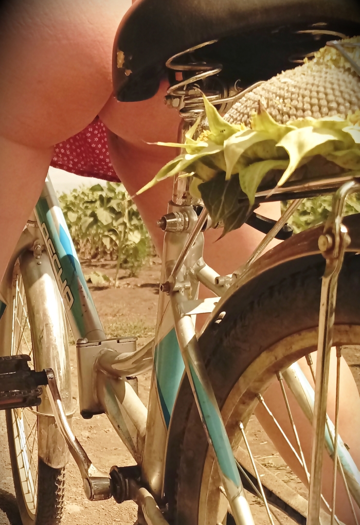 For the sunflower - NSFW, My, Erotic, Booty, Back view, Without underwear, Bike ride, Sunflower, Summer