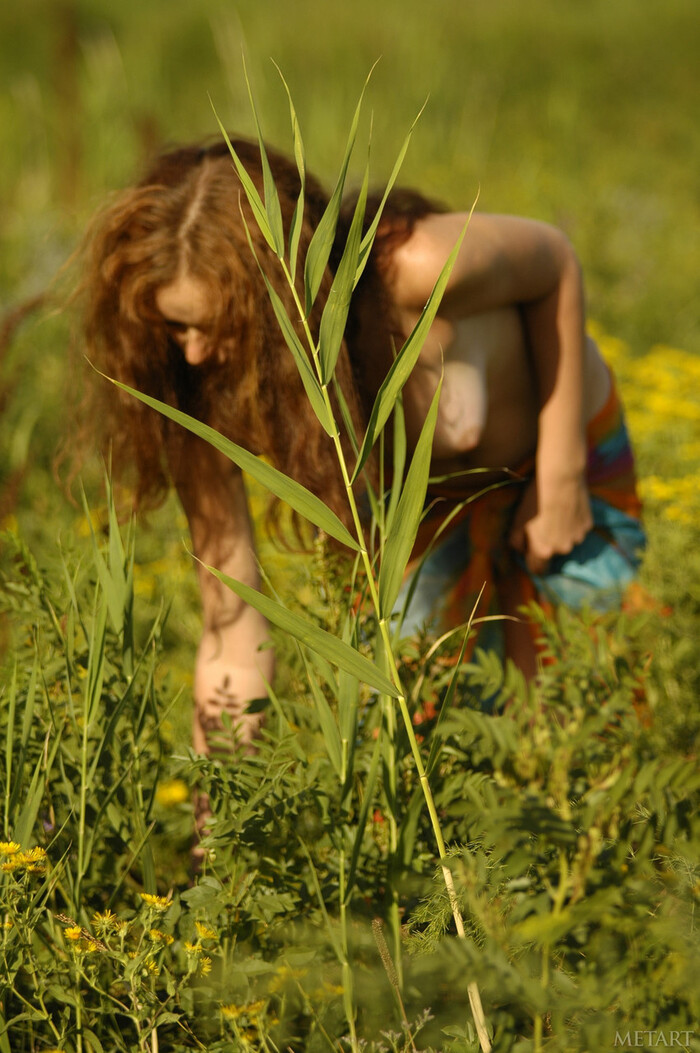 Curly in the field - NSFW, Girls, Labia, Boobs, Naked, Booty, Pubes, Redheads, Nature, Longpost