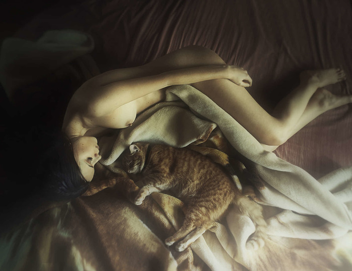 Dream - 18+, Erotic, Girls, Boobs, Naked, cat, Photographer David Dubnitsky, The photo, NSFW